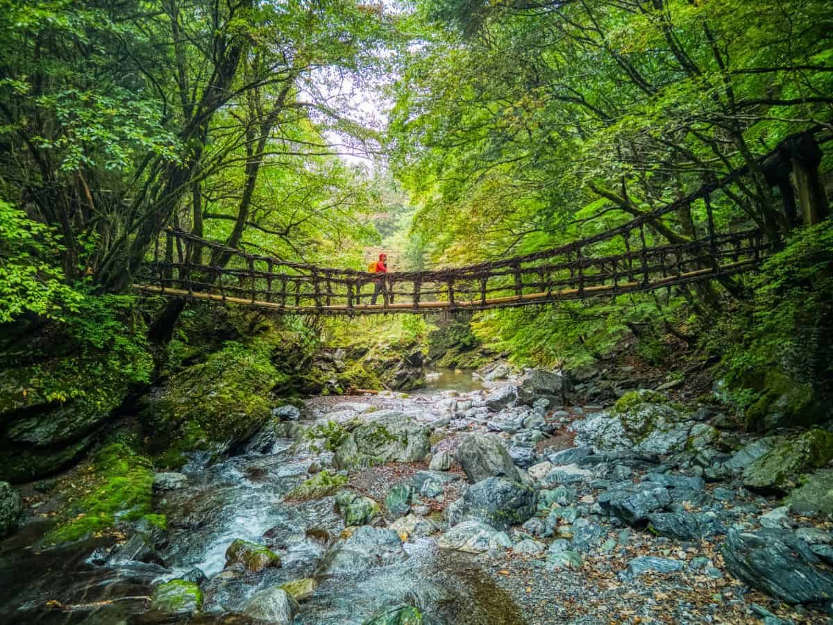 🌉 우라도 대교 (우라도오하시) 이미지 6